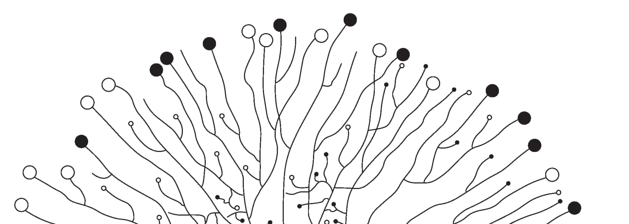 Illustration for Website Half